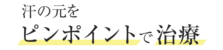 汗の元をピンポイントで治療